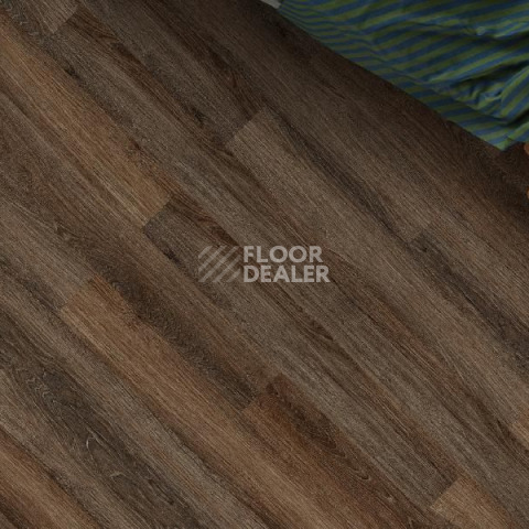 Кварцвиниловые полы Ecoclick Rich замковый 4.2мм NOX-1977 Дуб Визна фото 1 | FLOORDEALER